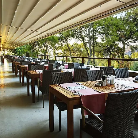 Tui Magic Life 酒店